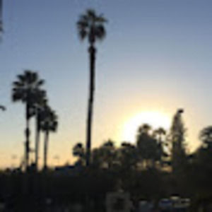 Meet your Posher, Isabel